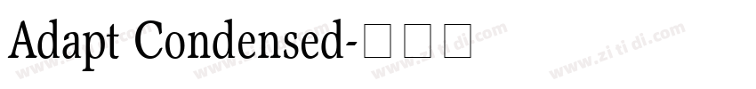 Adapt Condensed字体转换